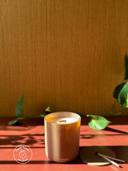 Luxury Scented Coconut Wax Candle - Fall Collection - Image 6