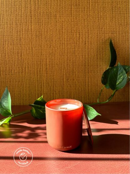 Luxury Scented Coconut Wax Candle - Fall Collection - Image 5