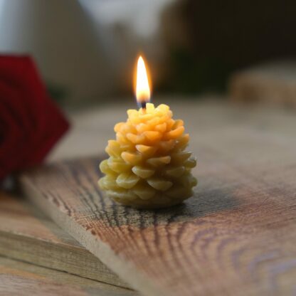 Pinecone candle